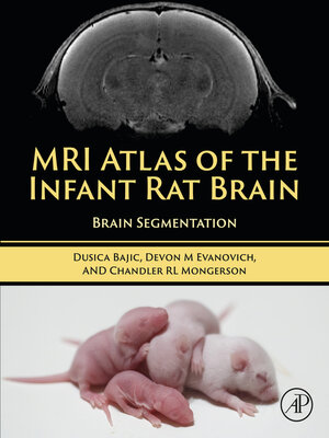 cover image of MRI Atlas of the Infant Rat Brain